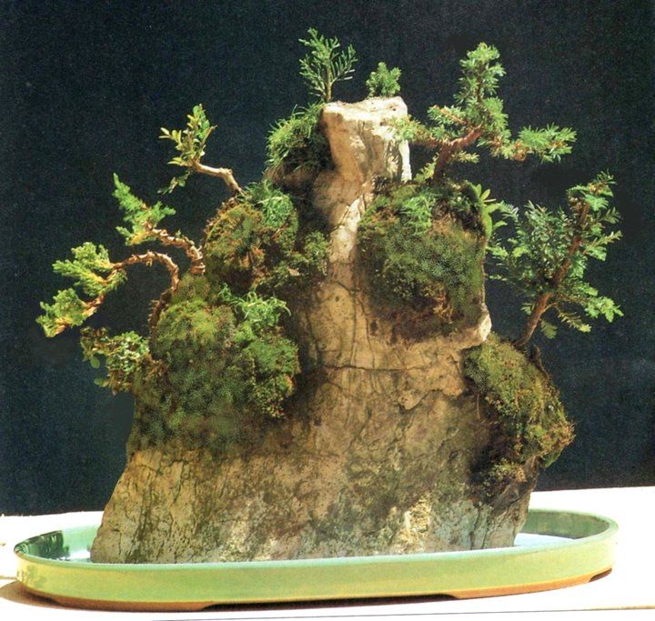 Bonsai Suiseki Magazine