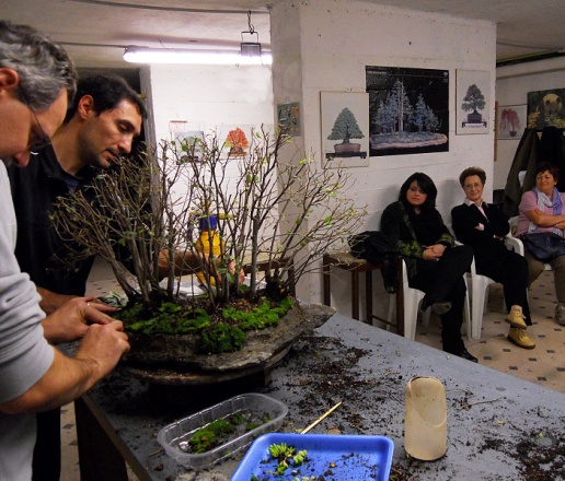 Bonsai Suiseki Magazine