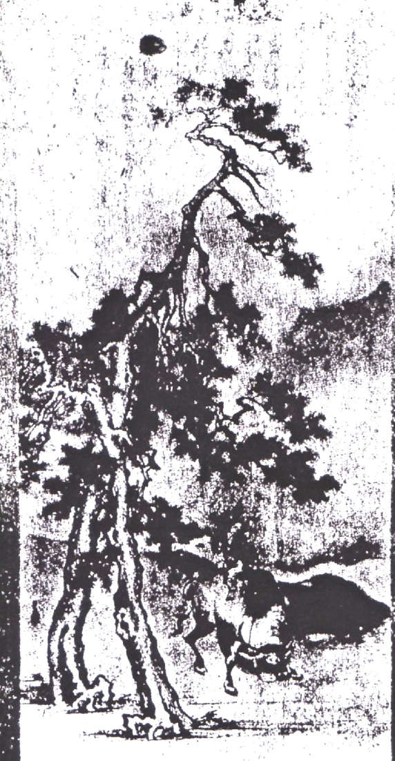 Bonsai Suiseki Magazine