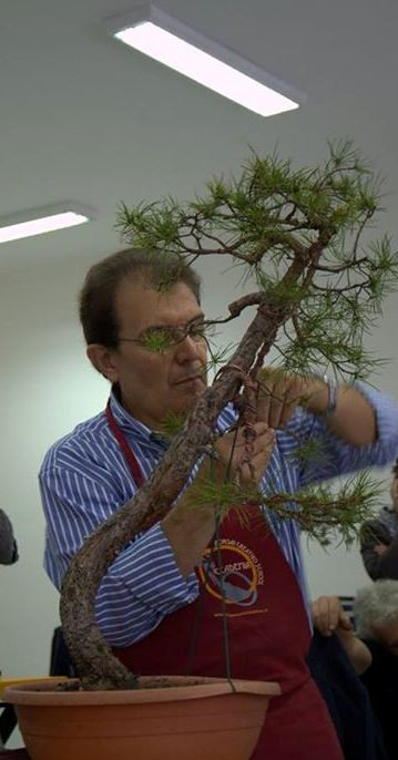 Bonsai Suiseki Magazine