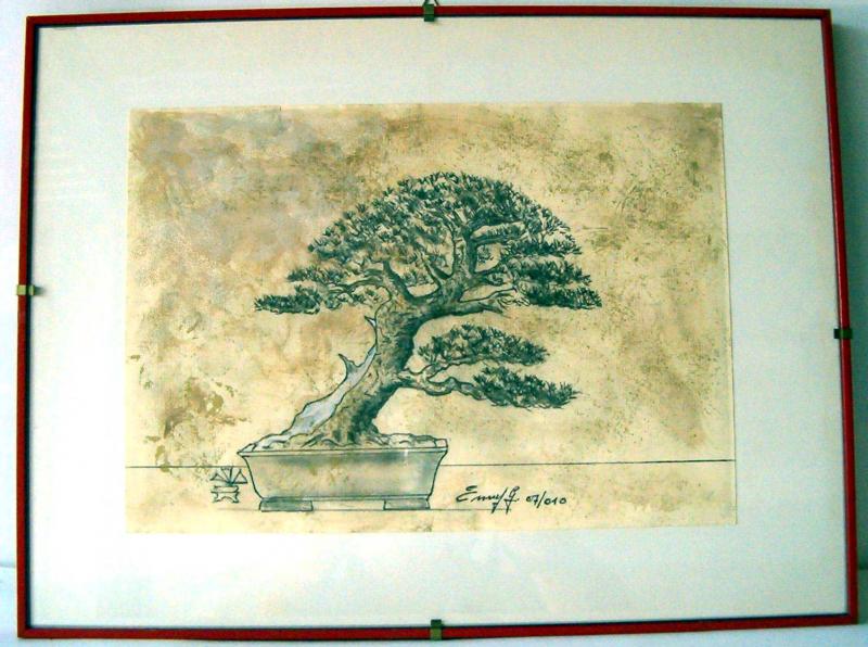 Bonsai Suiseki Magazine