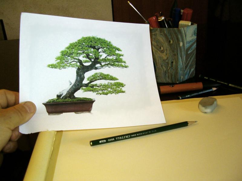 Bonsai Suiseki Magazine