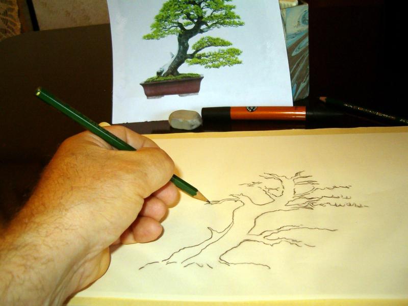 Bonsai Suiseki Magazine