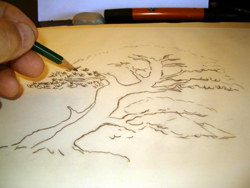 Bonsai Suiseki Magazine