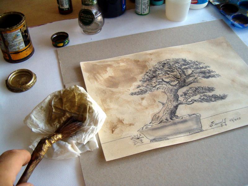 Bonsai Suiseki Magazine