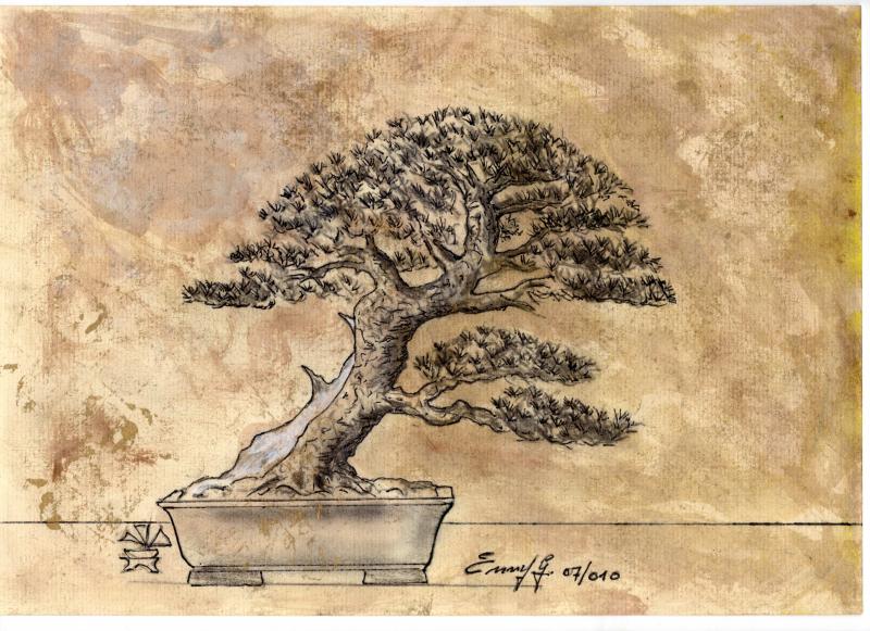 Bonsai Suiseki Magazine