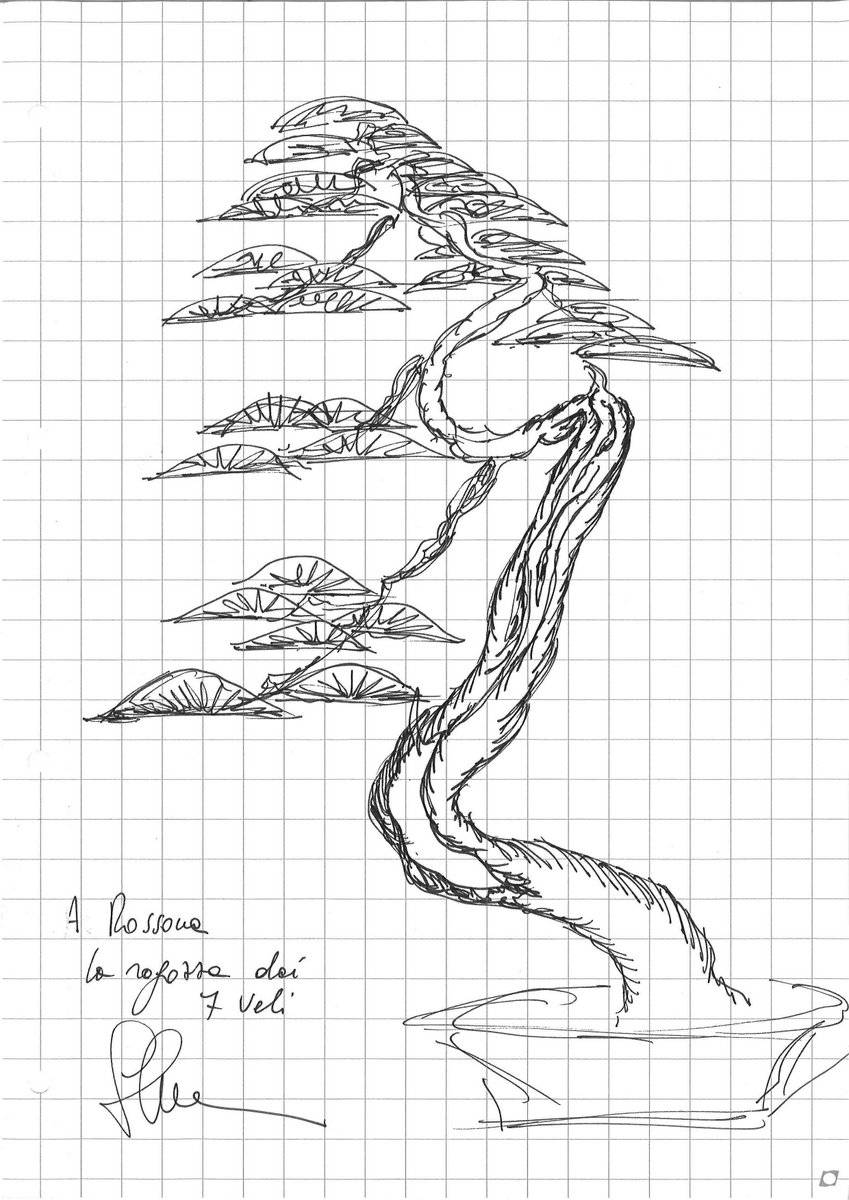 Bonsai Suiseki Market