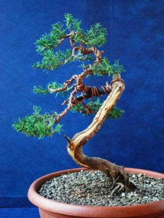 Bonsai Suiseki Market